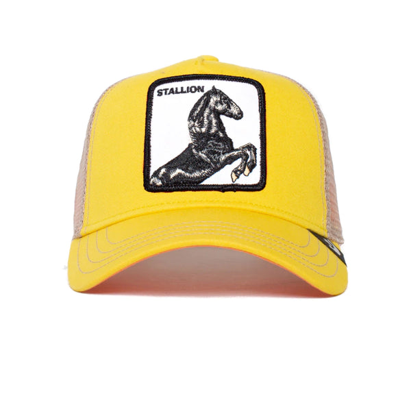 Gorra Goorin Bros Amarillo